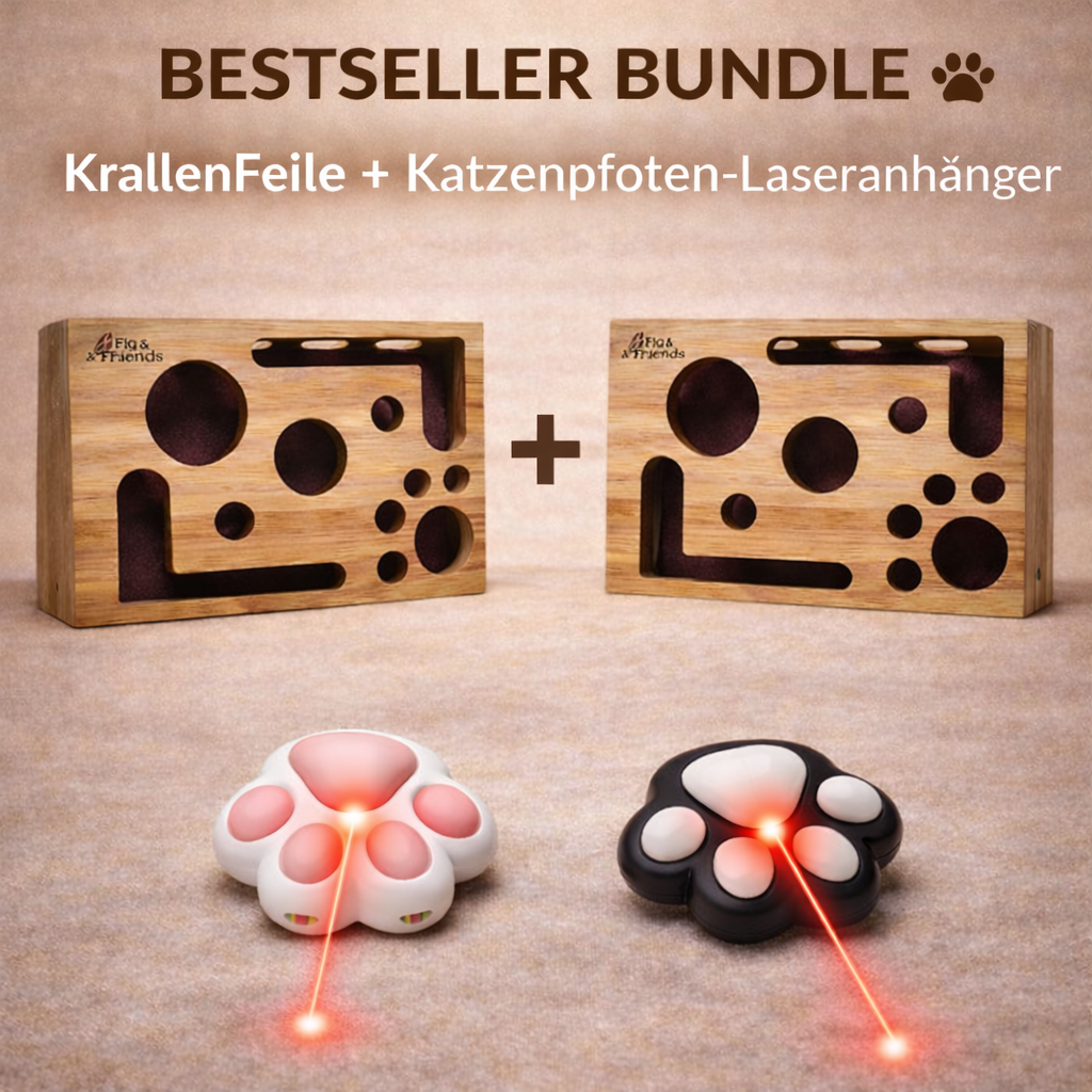 KrallenFeile – Die stilvolle Kratz und Pflegebox für Katze