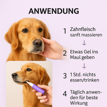 Pet Oral – Zahnpflege, die dein Tier liebt