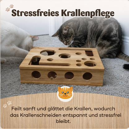 KrallenFeile – Die stilvolle Kratz und Pflegebox für Katze